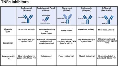 TNF-α inhibitors for type 1 diabetes: exploring the path to a pivotal clinical trial